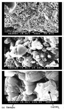 Scanning Electron Microscope View of OPC concrete